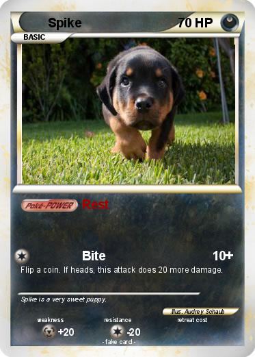 Pokemon Spike