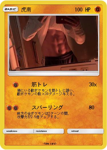 Pokemon 虎南