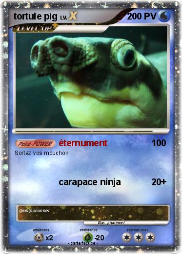 Pokemon tortule pig
