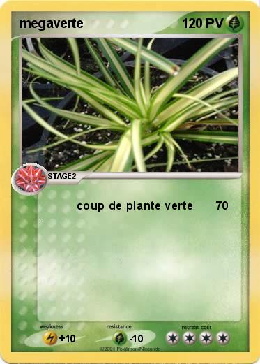 Pokemon megaverte