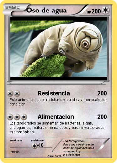 Pokemon Oso de agua