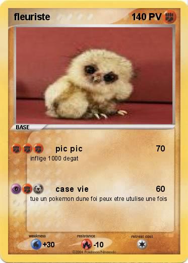 Pokemon fleuriste