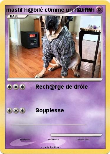 Pokemon mastif h@bilé c0mme un humain