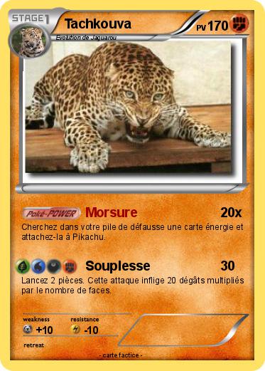 Pokemon Tachkouva