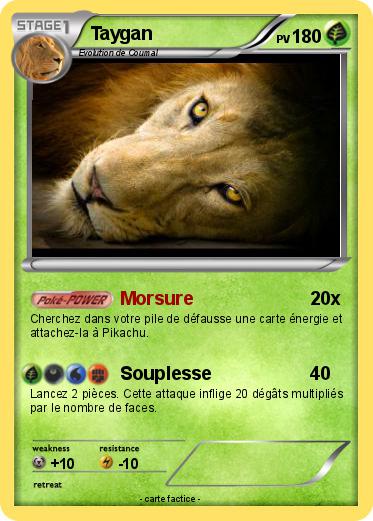 Pokemon Taygan