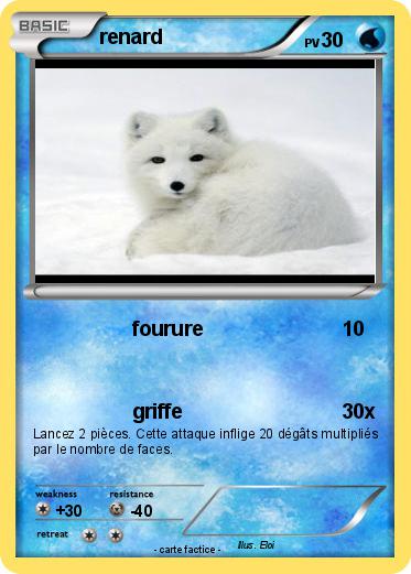 Pokemon renard