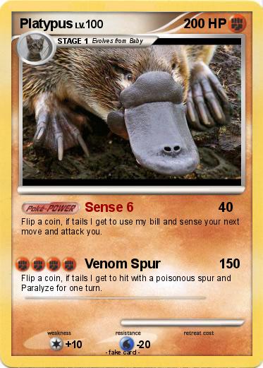 Pokemon Platypus