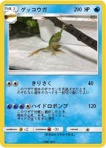 Pokemon ゲッコウガ