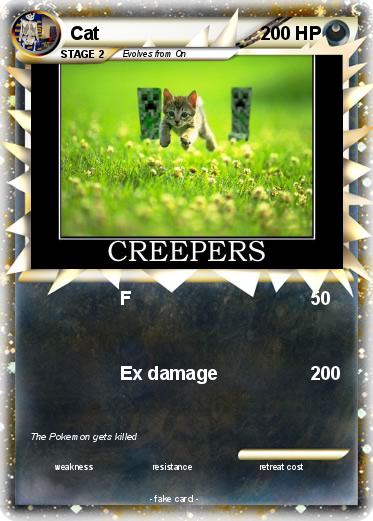 Pokemon Cat