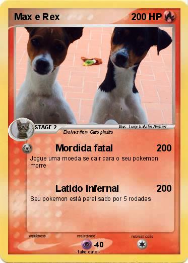 Pokemon Max e Rex