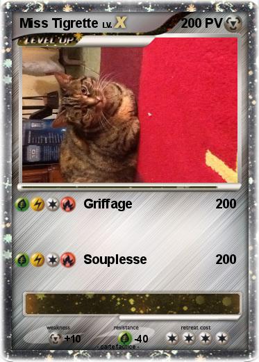 Pokemon Miss Tigrette