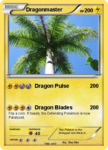 Pokemon Dragonmaster