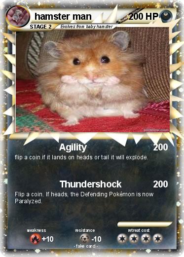 Pokemon hamster man