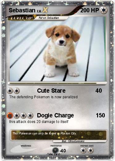 Pokemon Sebastian