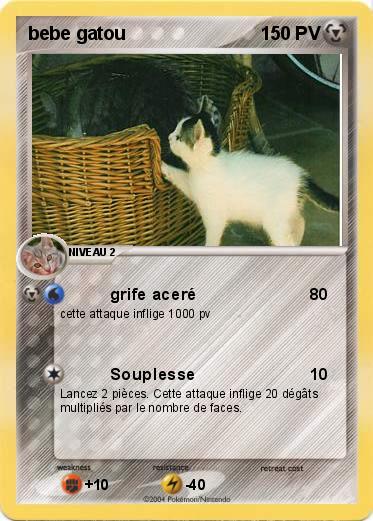 Pokemon bebe gatou