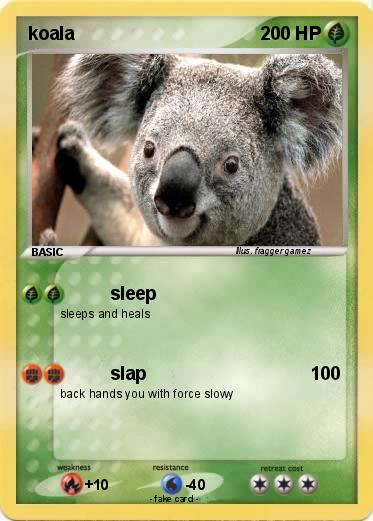 Pokemon koala