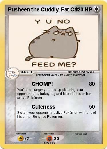 Pokemon Pusheen the Cuddly, Fat Cat
