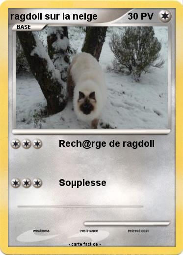 Pokemon ragdoll sur la neige