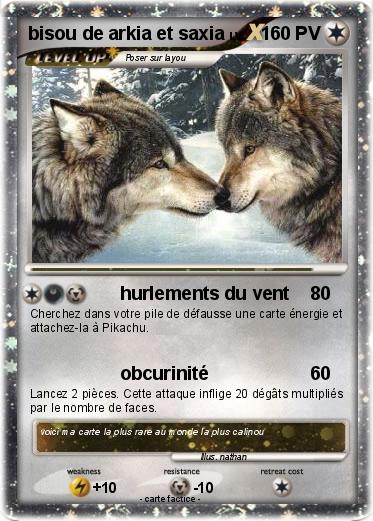 Pokemon bisou de arkia et saxia