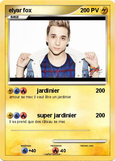 Pokemon elyar fox