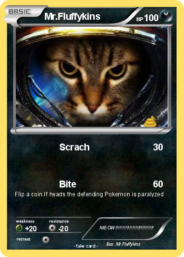 Pokemon Mr.Fluffykins