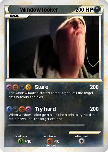 Pokemon Window looker