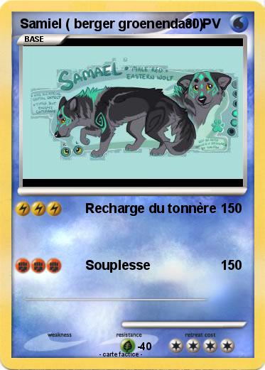 Pokemon Samiel ( berger groenendael )