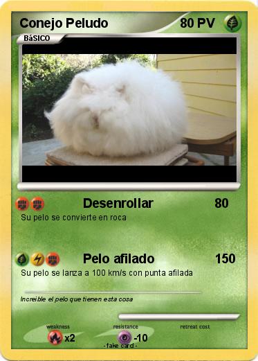 Pokemon Conejo Peludo