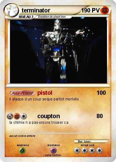 Pokemon terminator