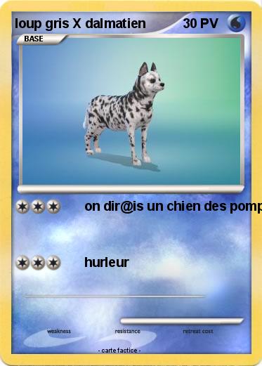 Pokemon loup gris X dalmatien