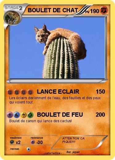Pokemon BOULET DE CHAT