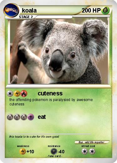 Pokemon koala