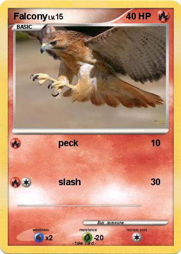 Pokemon Falcony