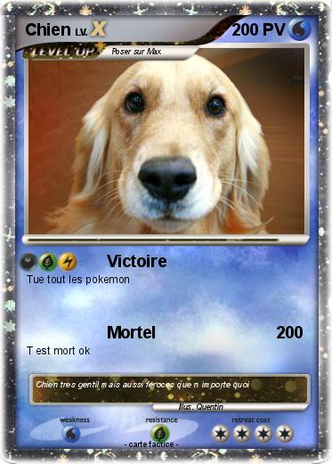 Pokemon Chien