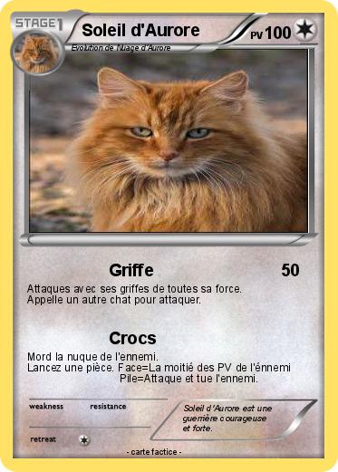 Pokemon Soleil d'Aurore