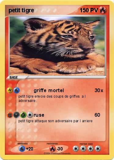 Pokemon petit tigre