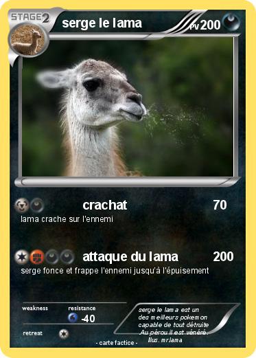 Pokemon serge le lama
