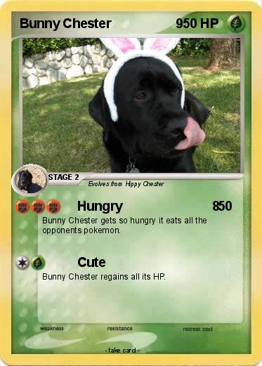 Pokemon Bunny Chester                  9