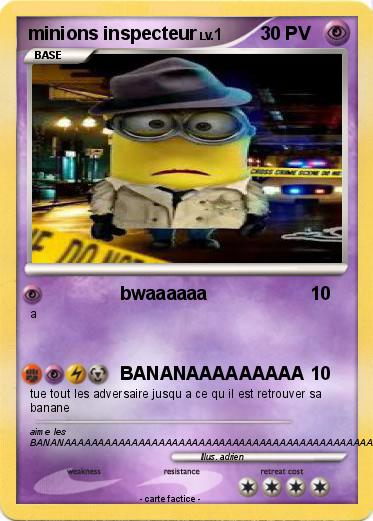 Pokemon minions inspecteur
