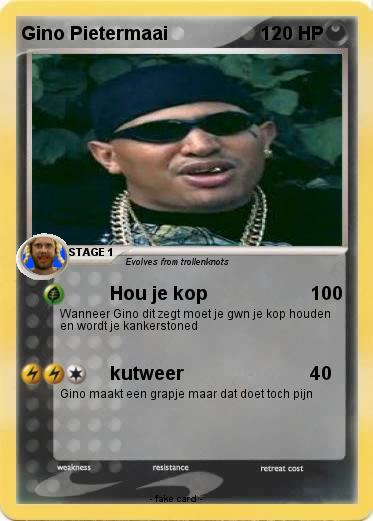 Pokemon Gino Pietermaai