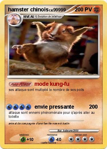 Pokemon hamster chinois