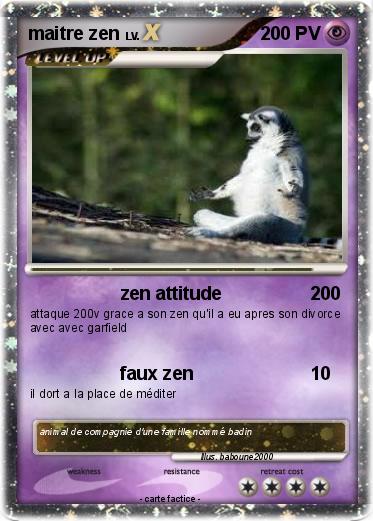 Pokemon maitre zen