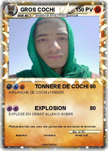 Pokemon GROS COCHI