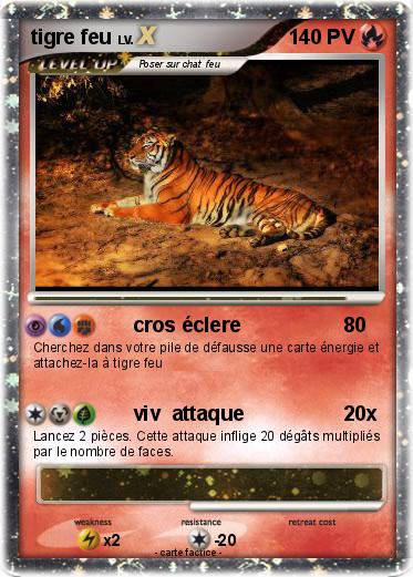 Pokemon tigre feu
