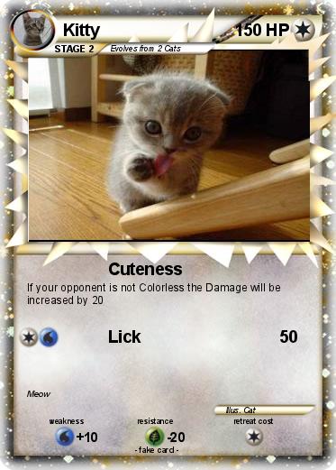 Pokemon Kitty