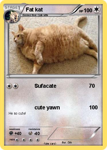 Pokemon Fat kat