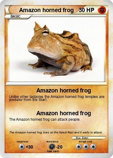 Pokemon Amazon horned frog