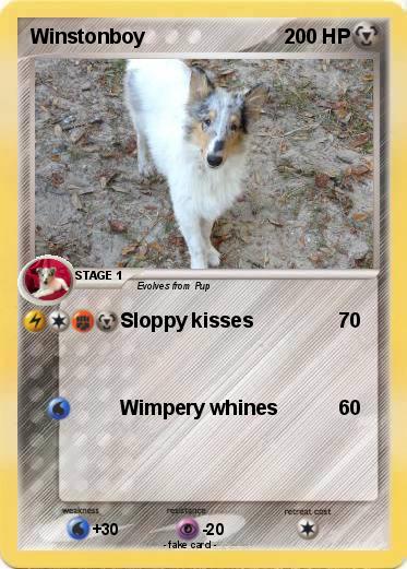 Pokemon Winstonboy