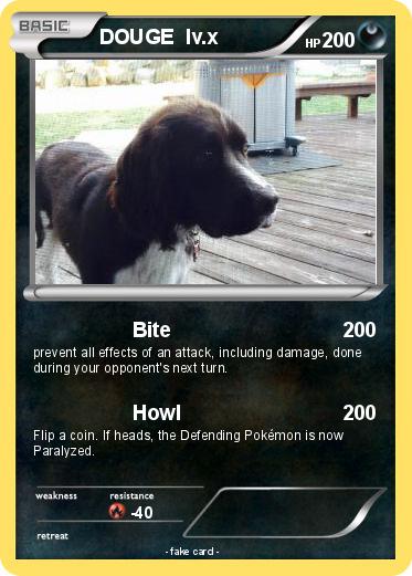 Pokemon DOUGE  lv.x