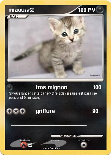 Pokemon miaou